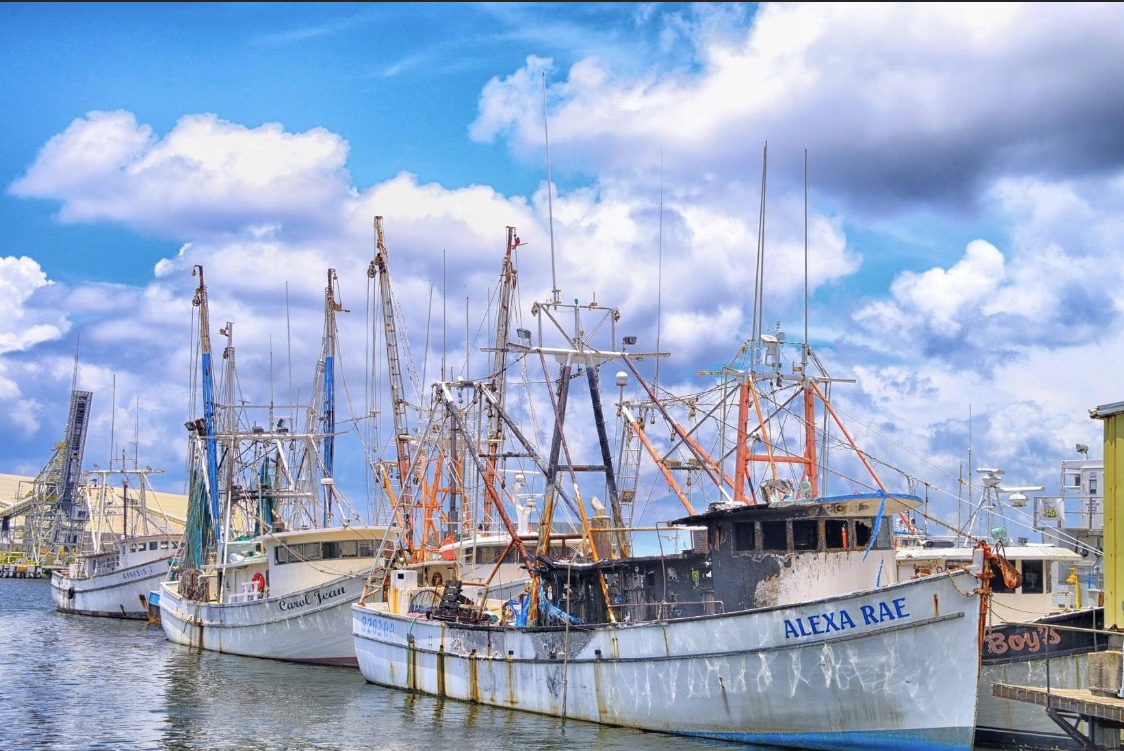 Versaggi Shrimp Co