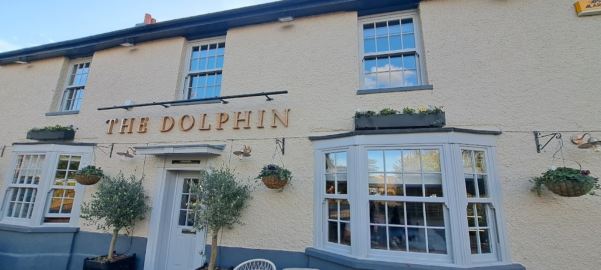 The Dolphin