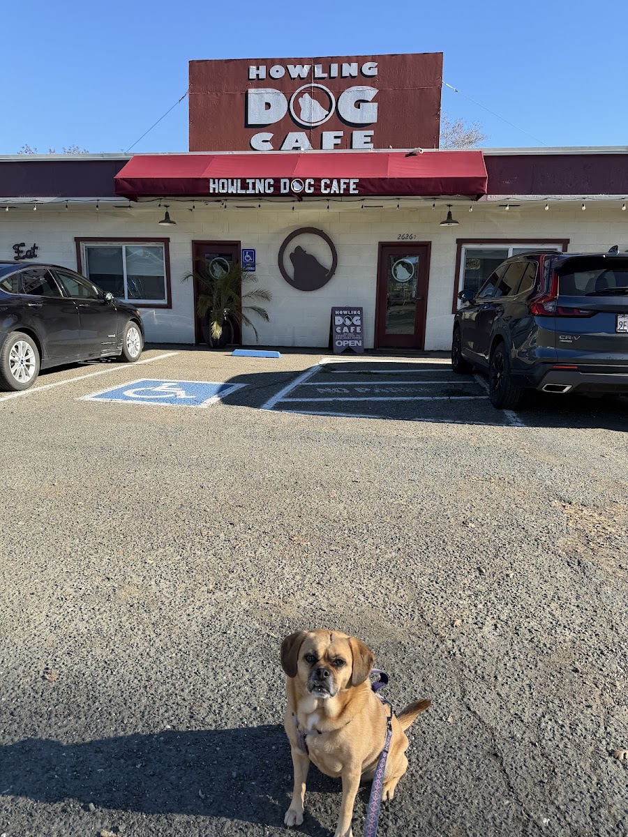 Howling Dog Cafe