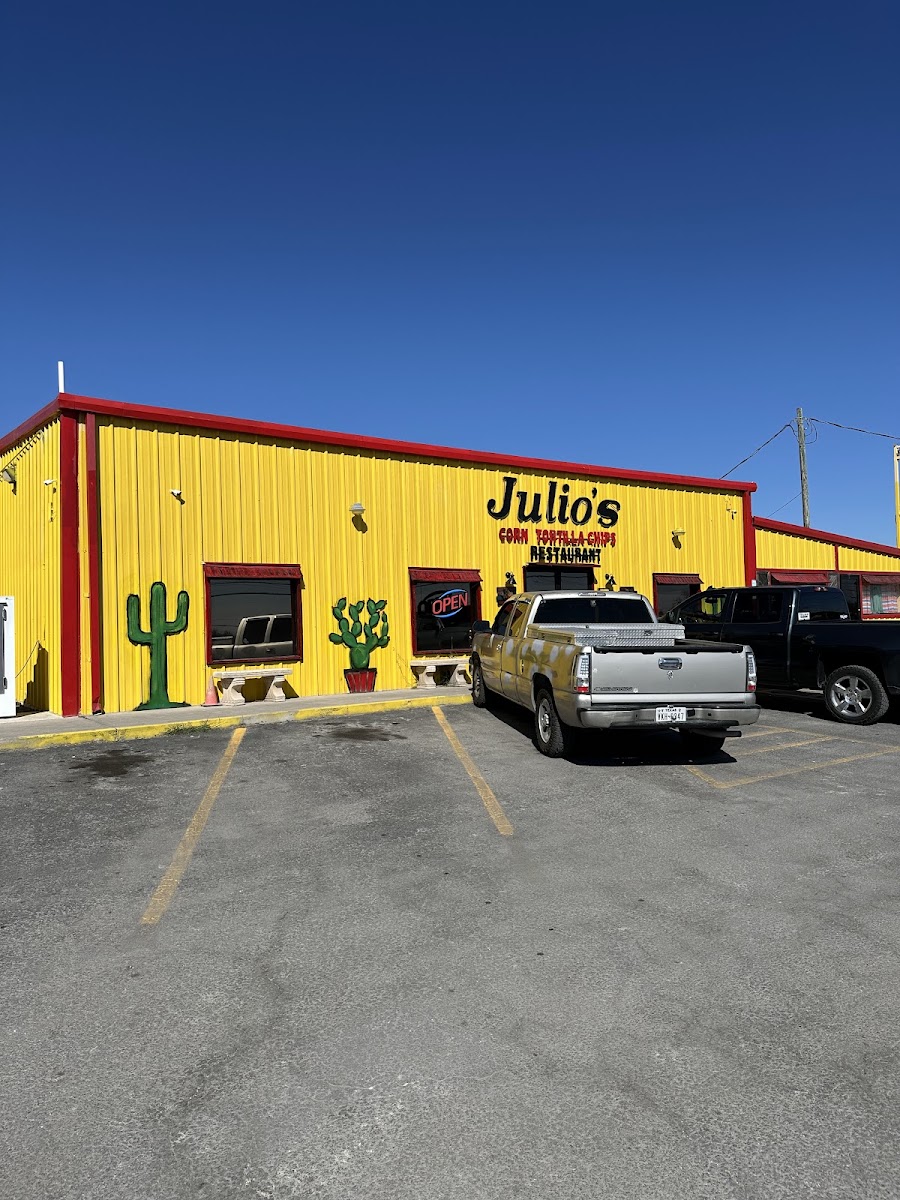 Julio's Seasoning & Corn Chips