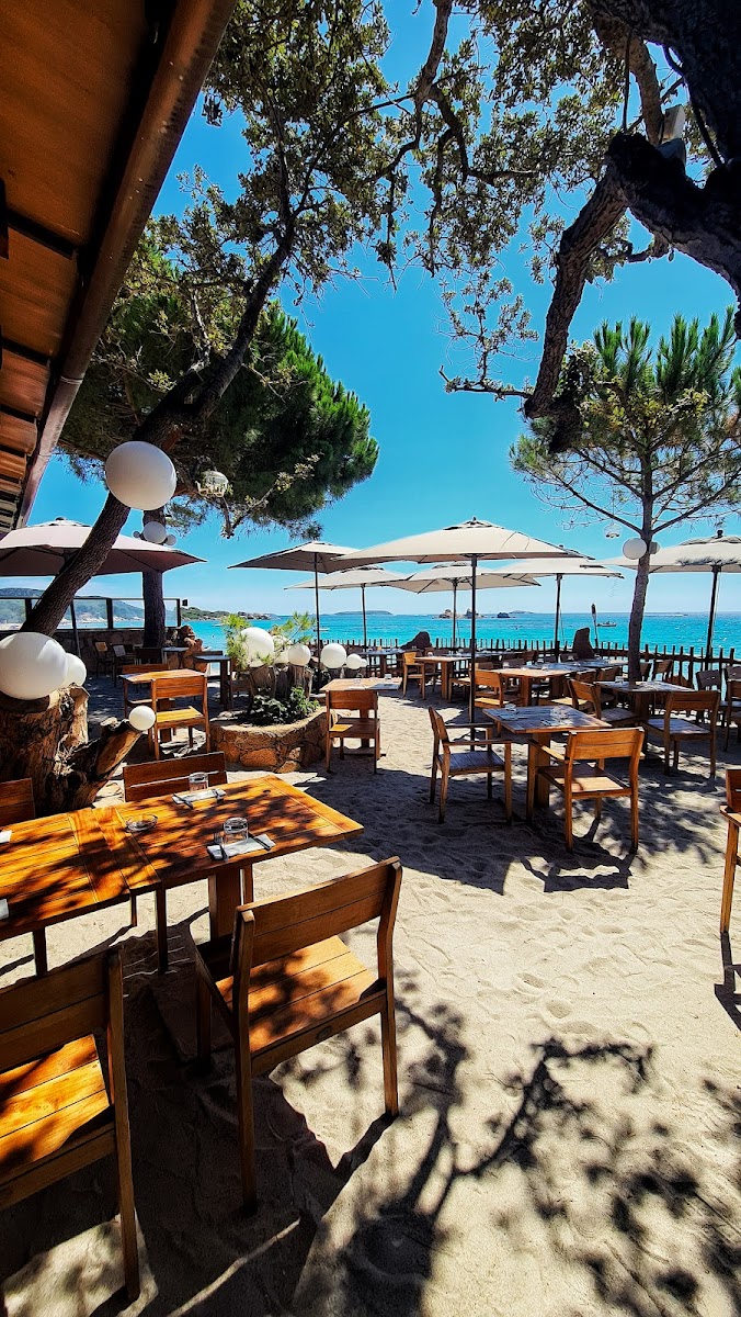 Le Petit Chose Palombaggia