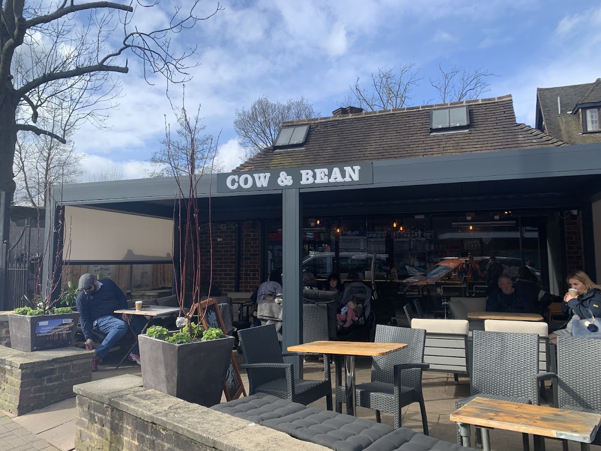 Cow & Bean