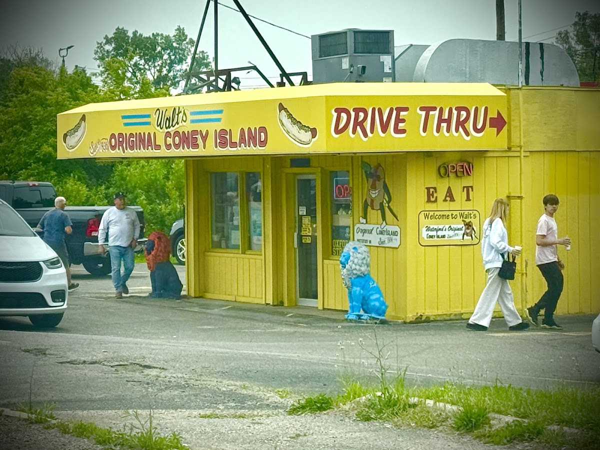 Walt's Coney Island
