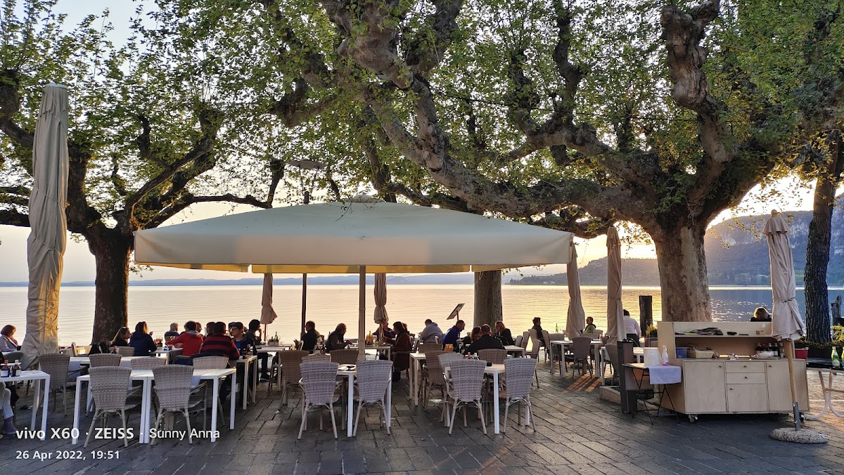 IL Merlo Nero Ristorante