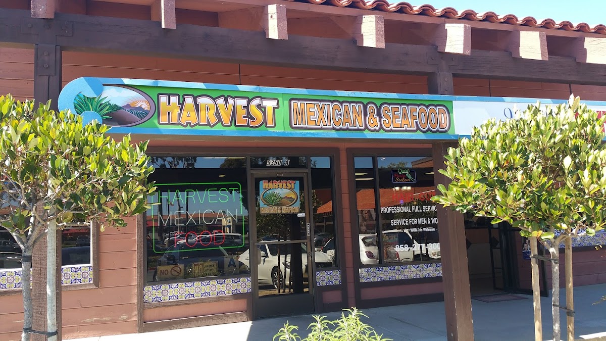 Harvest Taco Shop