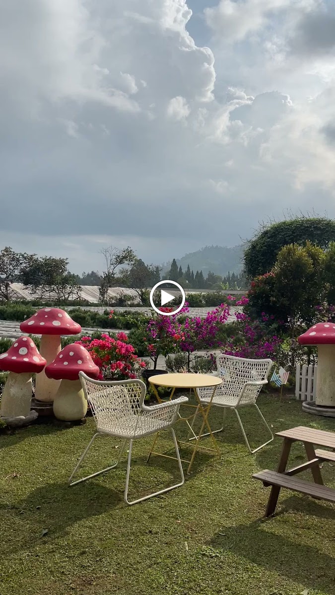 Honey Bunny Cafe Cikole