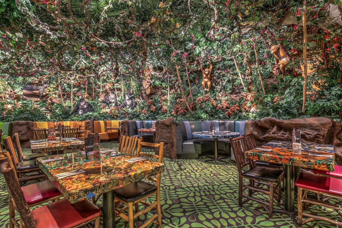 Rainforest Cafe