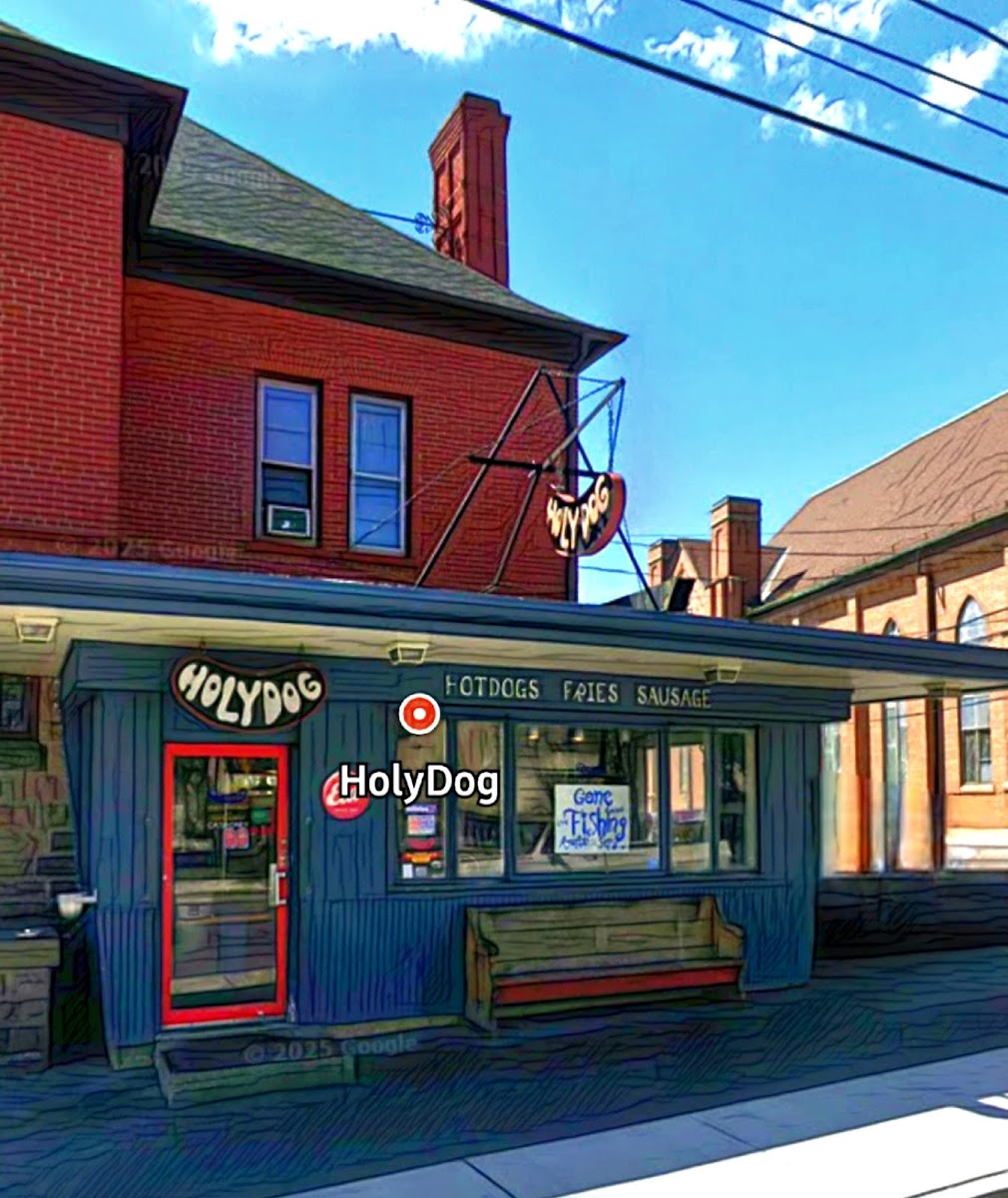 HolyDog