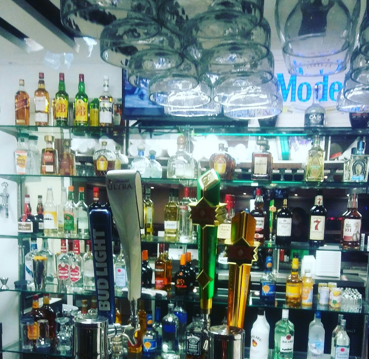 Blue Agave - Hernando