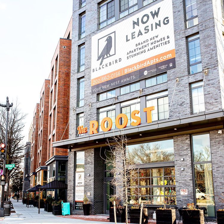 The Roost - Washington