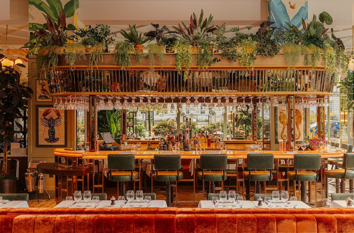 The Ivy Belfast Brasserie