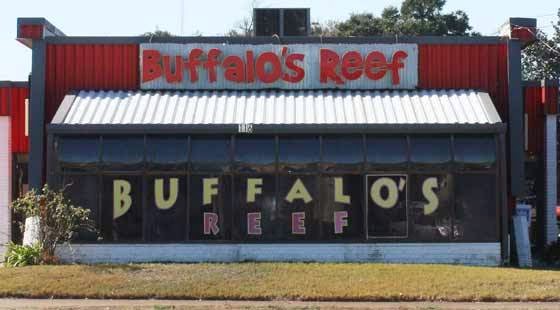 Buffalo's Reef