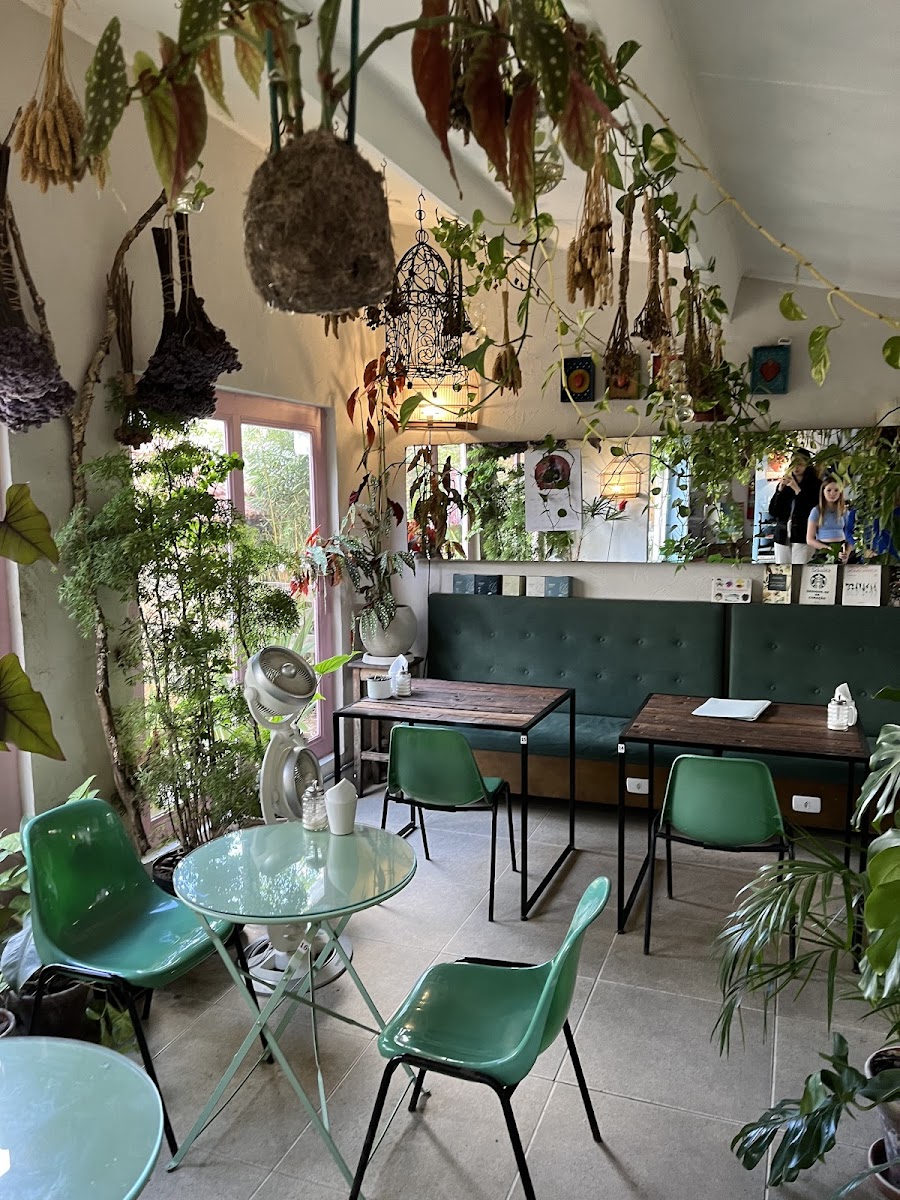 Eva Café Bar e Botânica