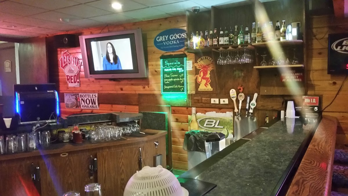 The Big Orange Moose