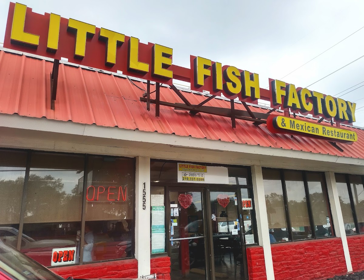 Little Fish Factory