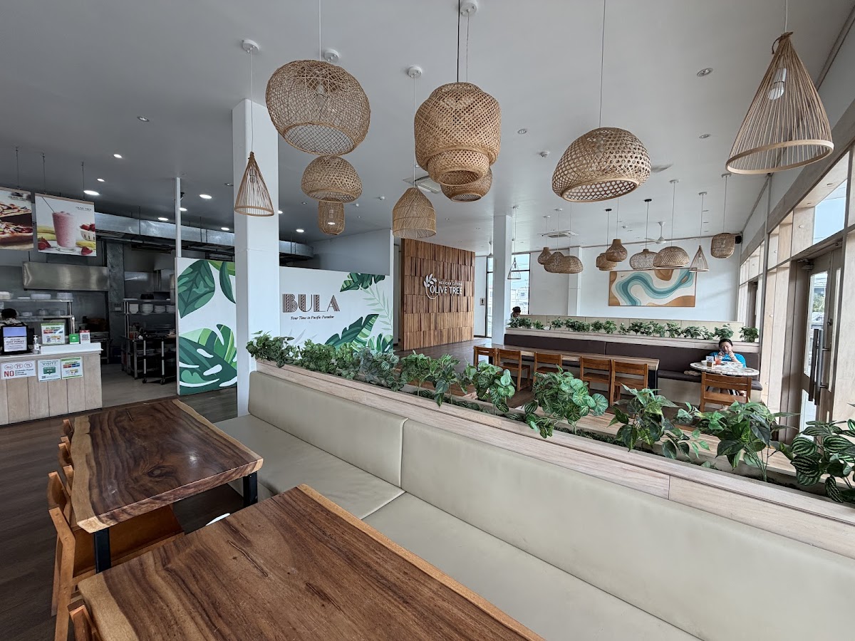 Olive Tree Wailoaloa