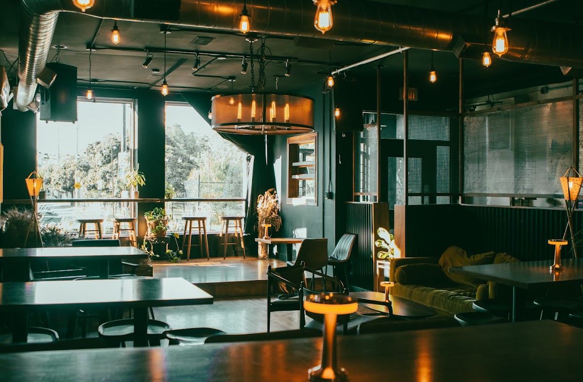 Night Oat (Gladstone)