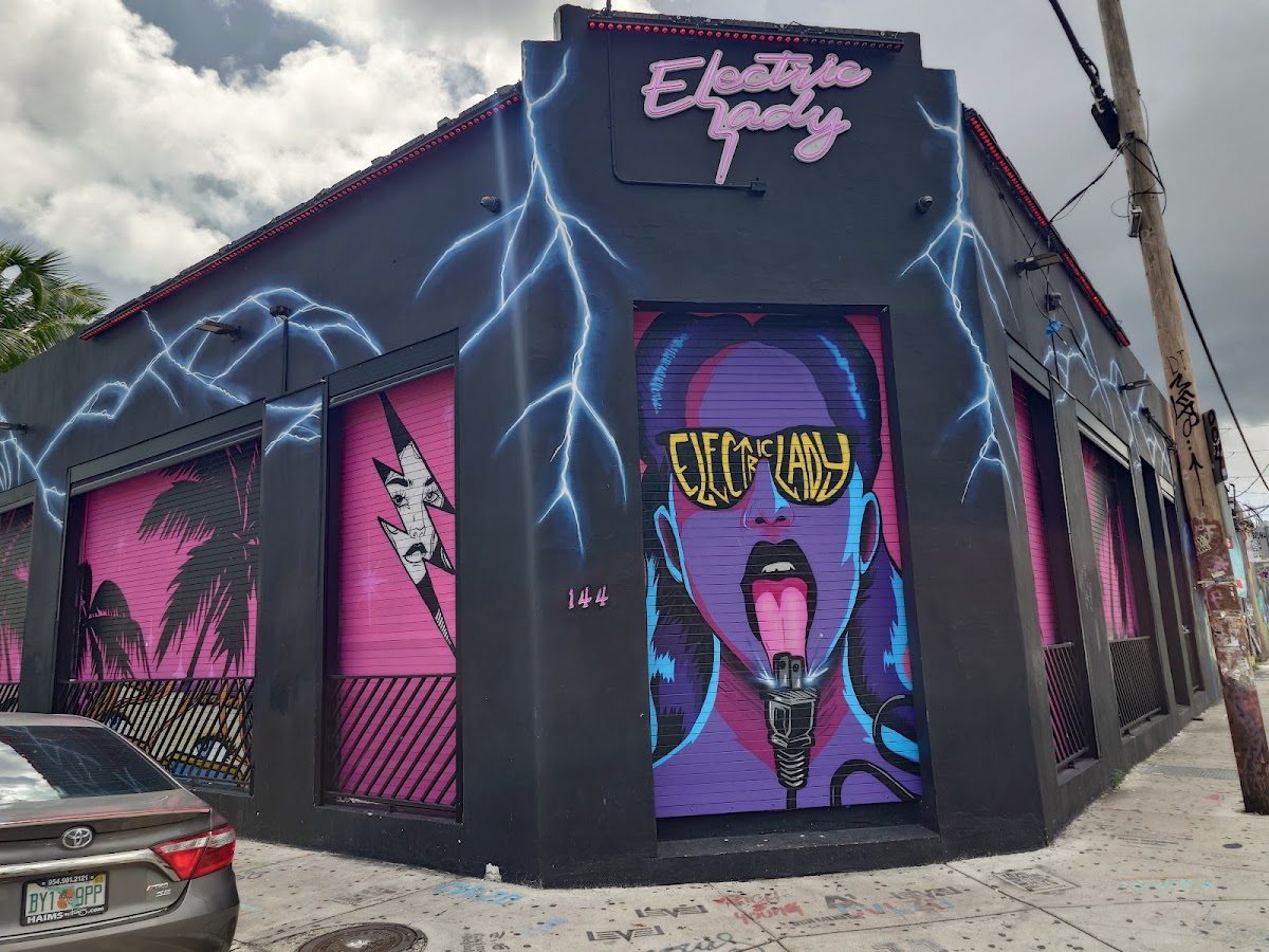 Electric 23 Wynwood