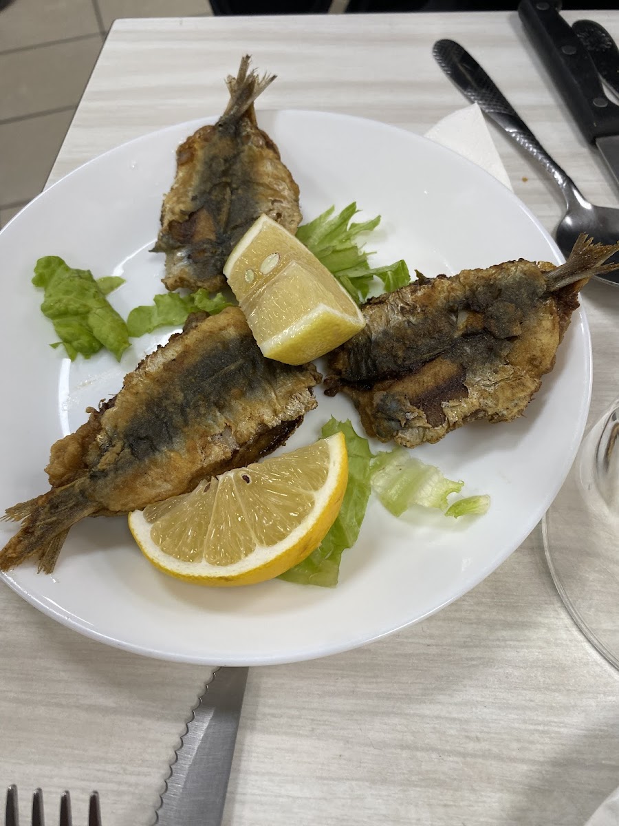 Le Timgad CHEZ HAFSI